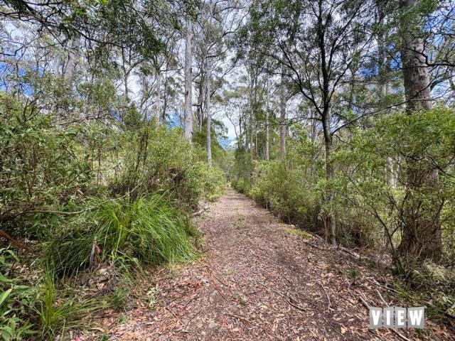 Land for sale in St Marys, Tasmania