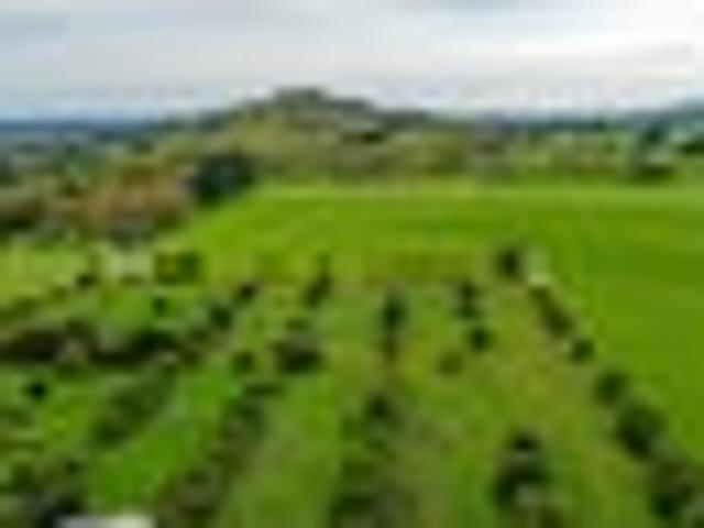 Land for sale in Horowhenua District