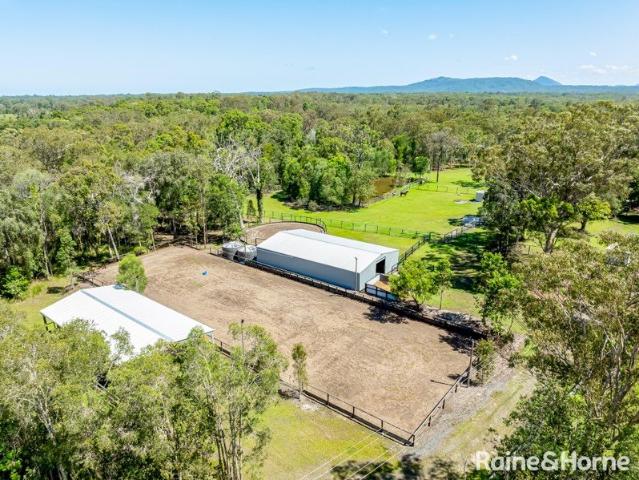 House for sale in Ringtail Creek, Queensland