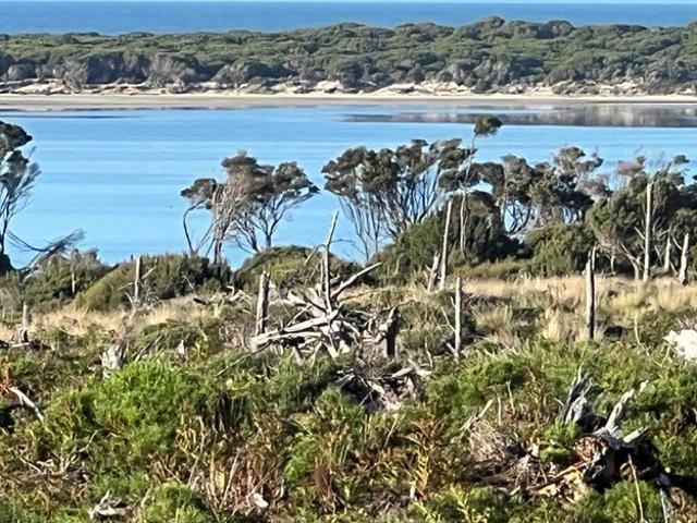 Cottage for sale in Palana, Tasmania