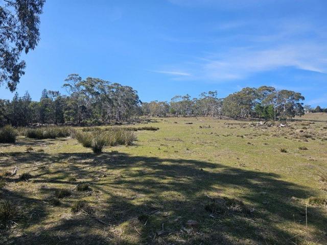 Land for sale in Swansea, Glamorgan-Spring Bay