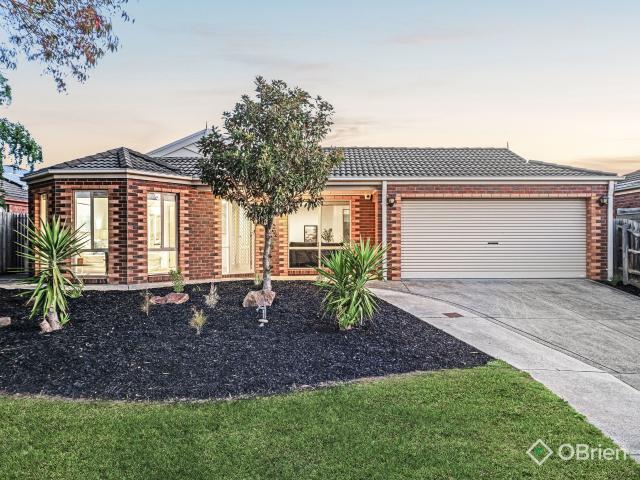 House for sale in Camerons Creek, Victoria