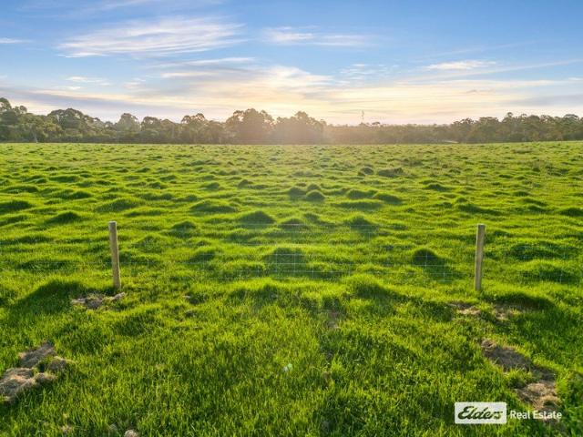 Land for sale in Willyung, Albany