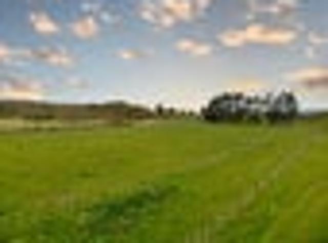 Land for sale in Horowhenua District