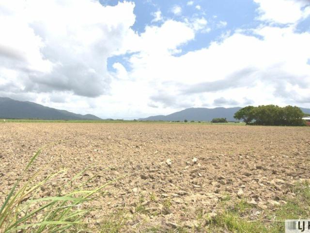 Land for sale in East Feluga, Cassowary Coast Regional