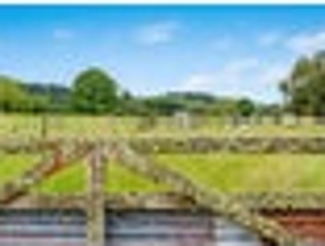 Land for sale in Otakou