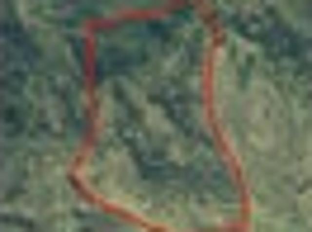 Land for sale in Northland