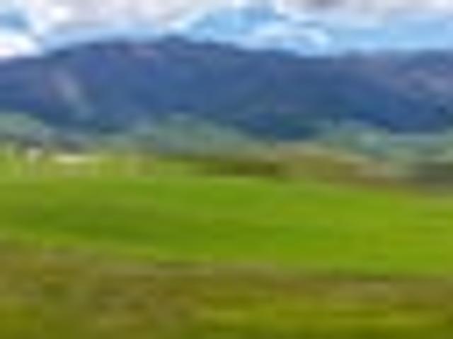 Land for sale in Otakou