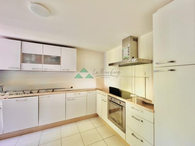Maison vente à Mulhouse, Hégenheim