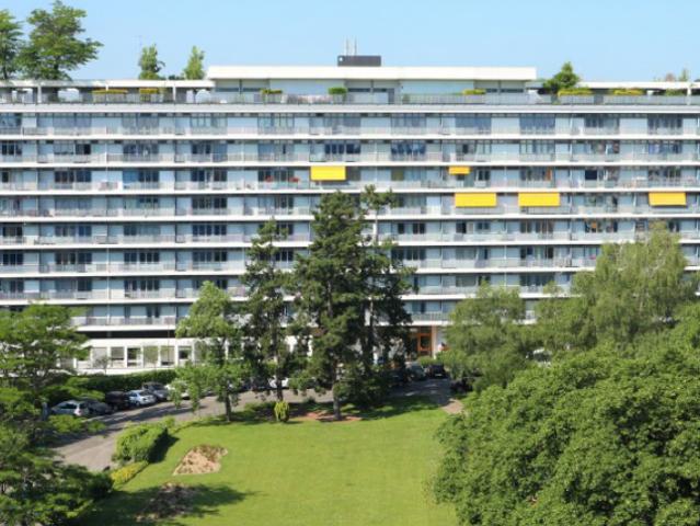 Apartment mieten in Le Petit-Saconnex, Genève