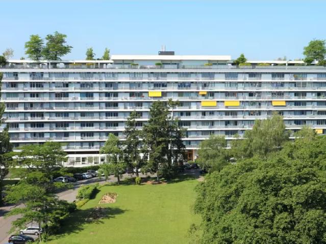 Apartment mieten in Le Petit-Saconnex, Genève