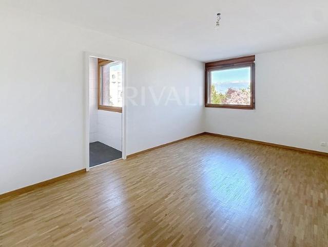 Apartment mieten in Le Grand-Saconnex