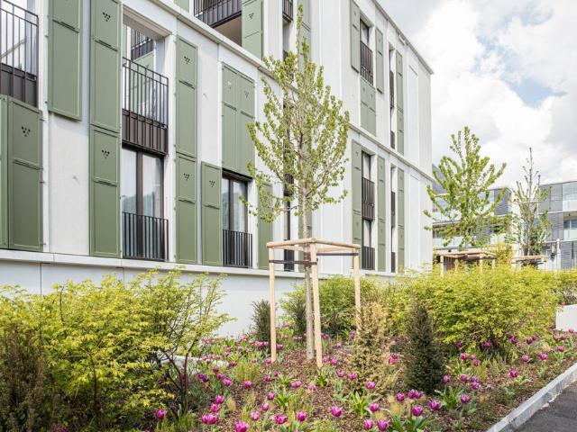 Apartment mieten in Aigle