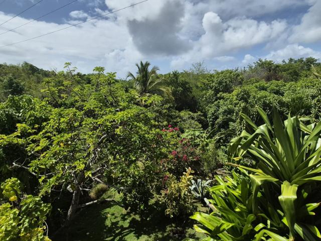 Appartement location à Guadeloupe