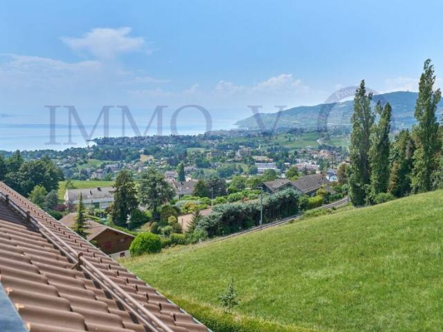 Immobilie kaufen in Chailly-Montreux, Waadt