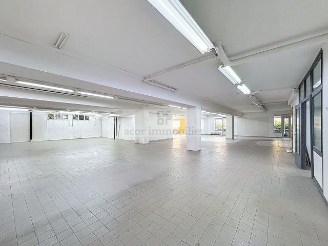 Büro kaufen in Les Mayens-de-Sion, Wallis