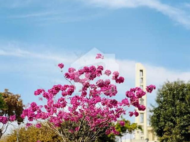 Property for rent in Islamabad