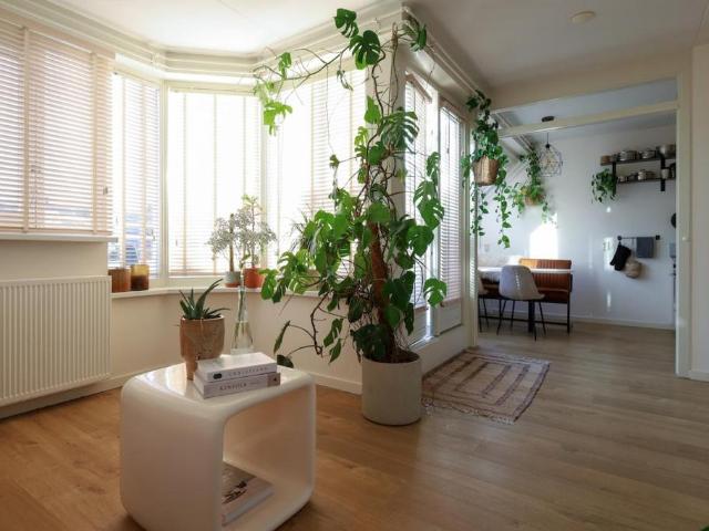 Appartement te huur in Oost, Amsterdam