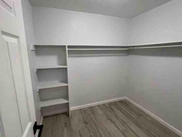 Apartment for rent in University, Florida