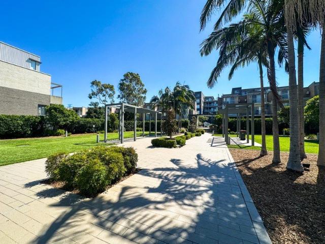 Apartment for rent in Strathfield, New South Wales
