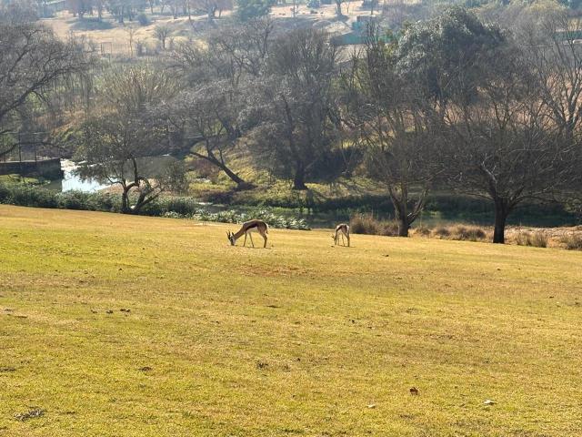 Apartment for rent in Nooitgedacht, Gauteng