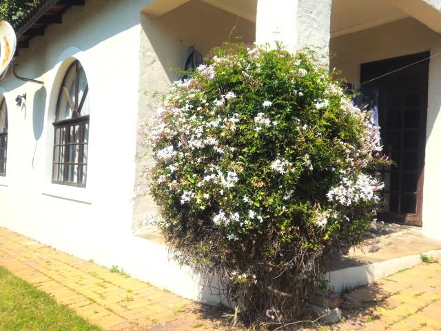 House for rent in Randburg, Gauteng