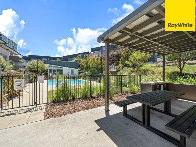 Apartment for rent in Phillip, District of Woden Valley