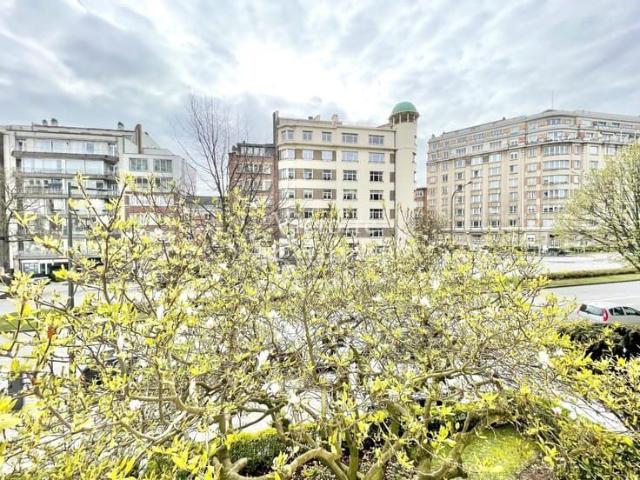Appartement location à Sint-lambrechts-woluwe, Bruxelles