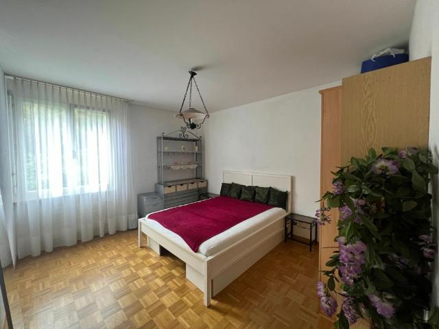 Apartment mieten in Corsier-sur-Vevey, Waadt