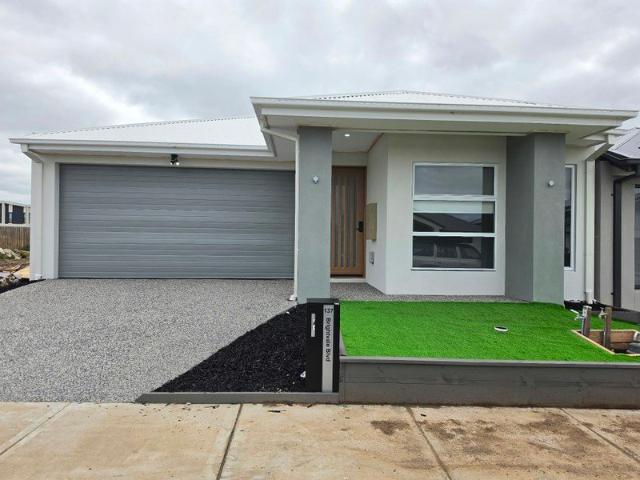 House for rent in Savana, Melbourne