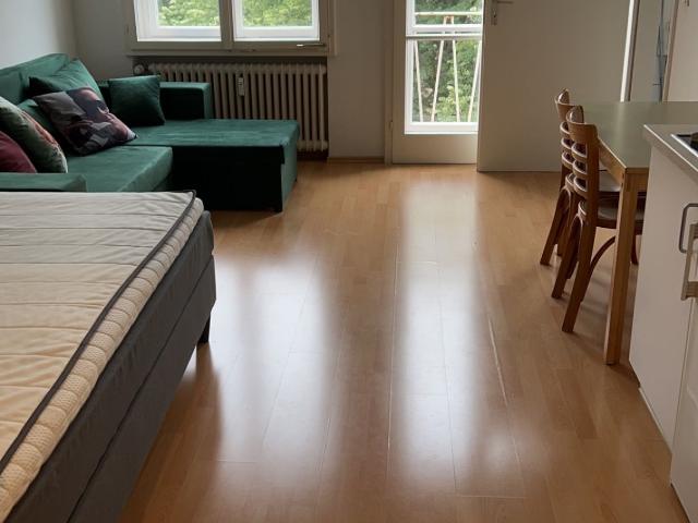 Apartment mieten in Innenstadt, Sachsenhausen