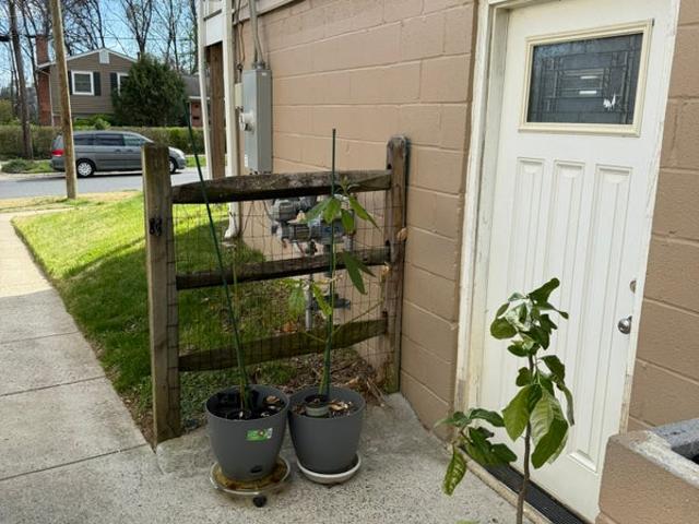 Room for rent in Maryland