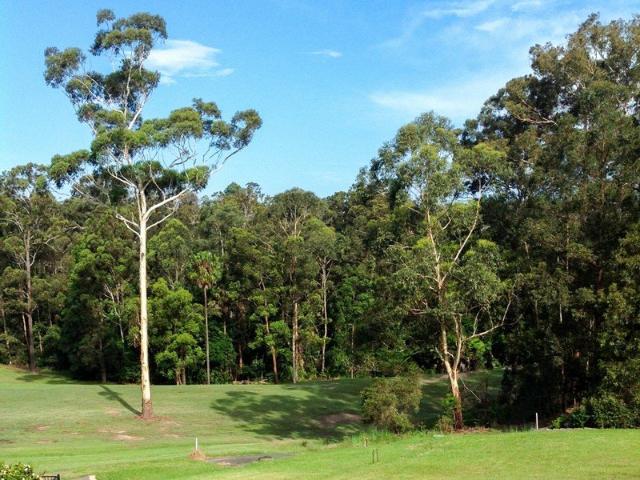 Land for sale in Tallwoods Village, New South Wales