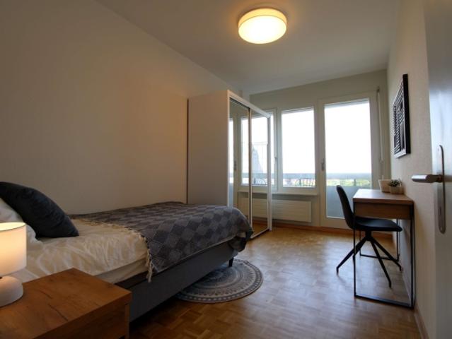 Zimmer mieten in Le Grand-Saconnex