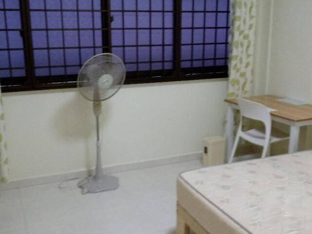 Room for rent