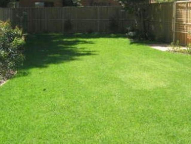 House for rent in Rydalmere, New South Wales