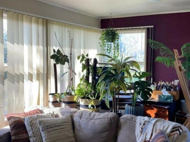 House for rent in Brookview, Papakura