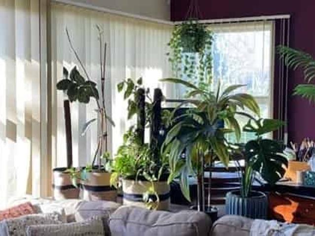House for rent in Brookview, Papakura