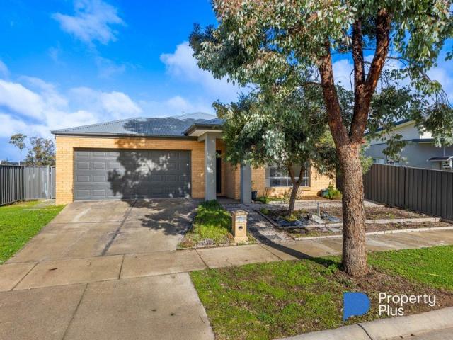 House for rent in Bendigo, Victoria