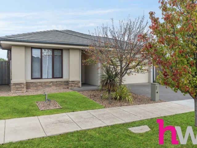 House for rent in Drysdale, Victoria