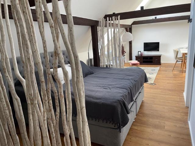Apartment mieten in Eisenach, Thüringen