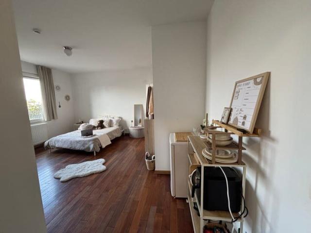 Kot location à Antwerpen