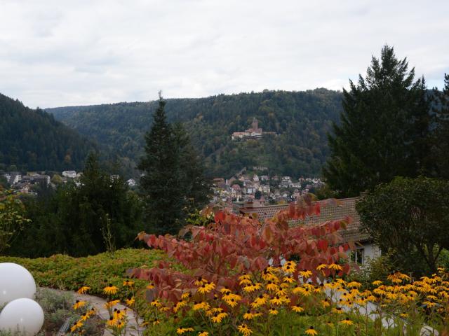 Apartment mieten in Liebenzell, Bad Liebenzell