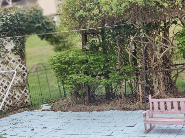 Room for rent in New Jersey