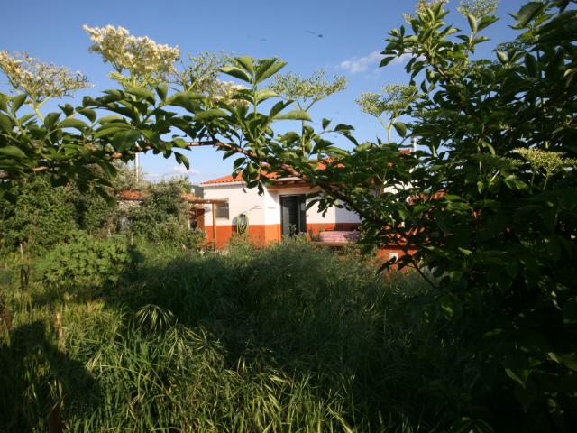 Estúdio alugar em Vales, Tomar