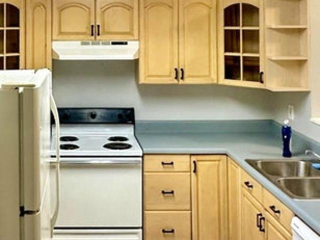 Room for rent in Tampa, Florida