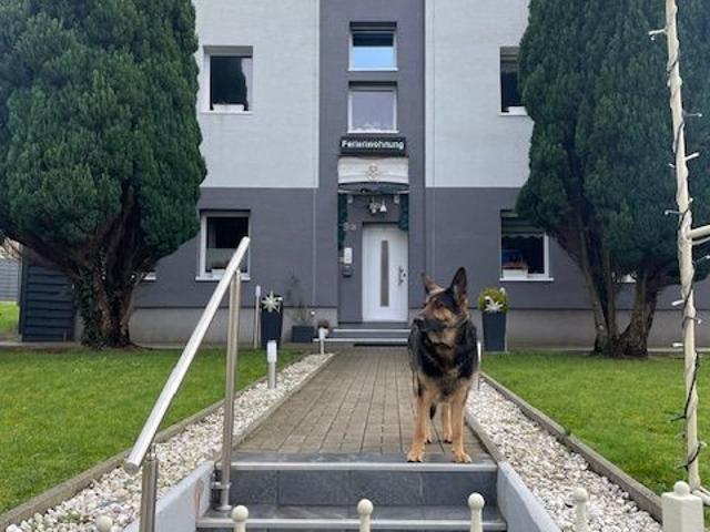 Apartment mieten in Ellerbek, Kiel