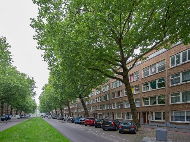 Kamer te huur in Charlois, Rotterdam
