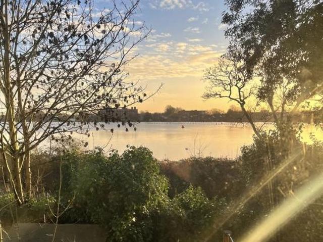 Room for rent in Manor House, Greater London