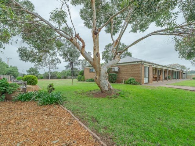 House for sale in Dubbo, New South Wales